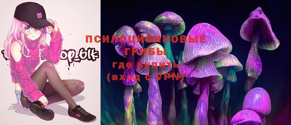 прущий лед Богородицк
