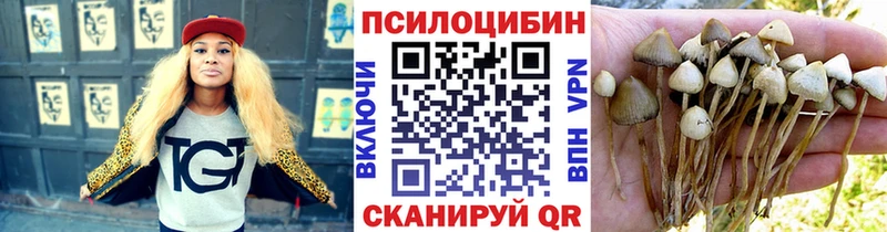 Псилоцибиновые грибы MAGIC MUSHROOMS  сколько стоит  Кирс 